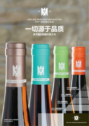 VDP介绍 VDP介绍